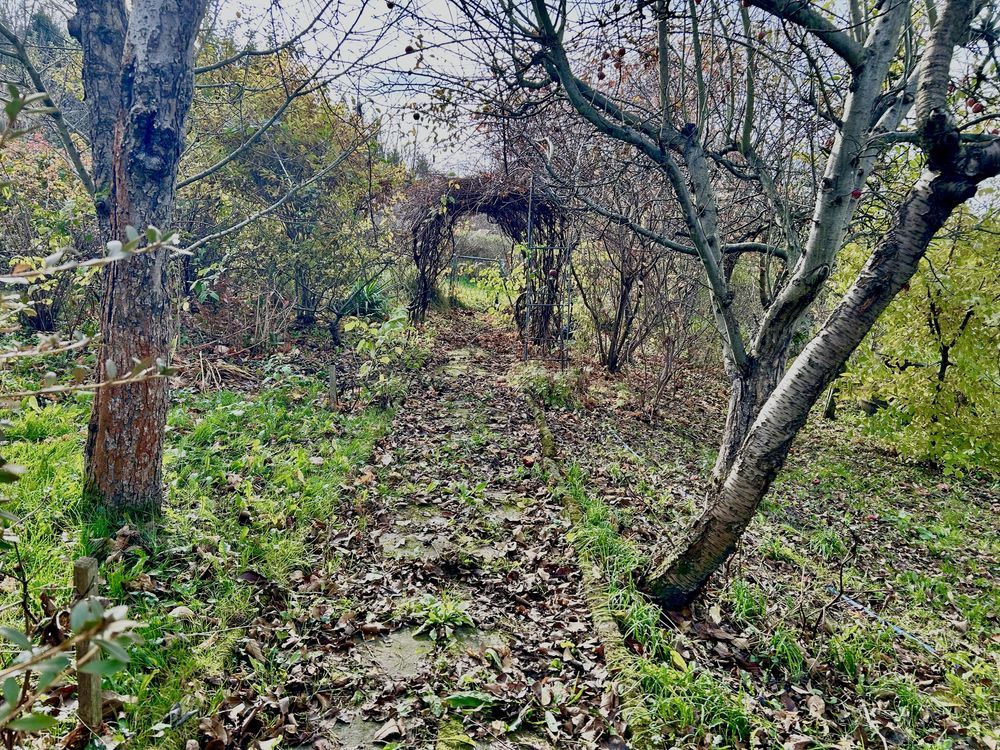 Działka rod Lądek-Zdrój. Zdjęcie 4