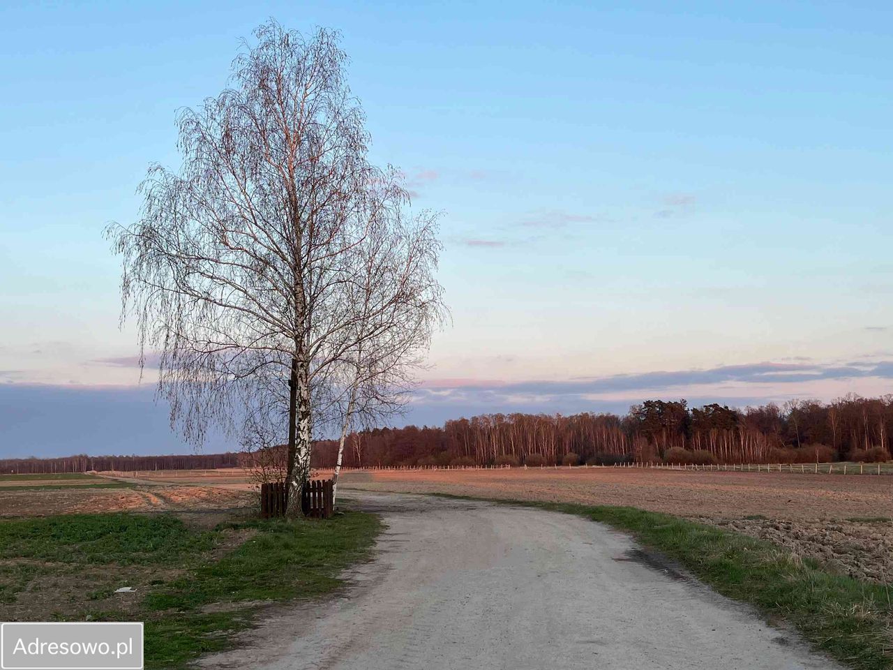 siedlisko Plebania Wola. Zdjęcie 7