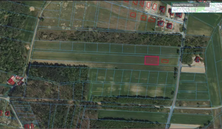 Działka budowlana Skórzno