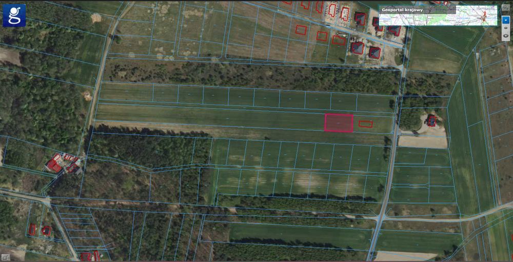 Działka budowlana Skórzno. Zdjęcie 1