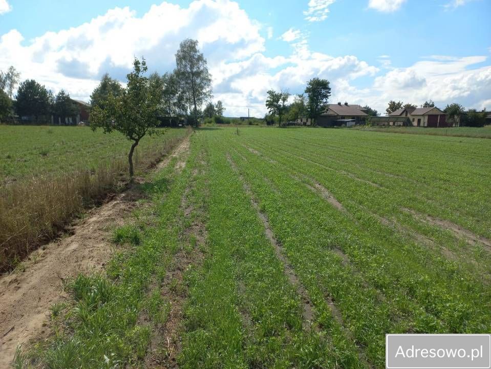 Działka budowlana Ignacew Folwarczny. Zdjęcie 3