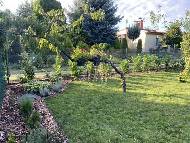 Działka rod Leszno, ul. Osiecka. Zdjęcie 1