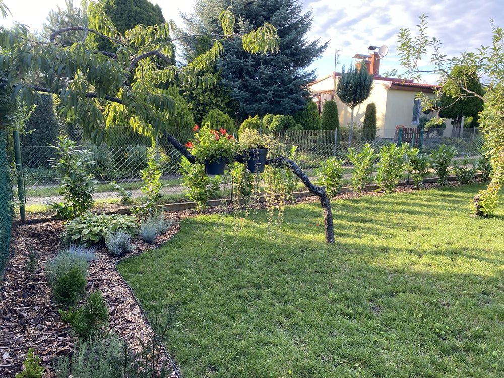 Działka rod Leszno, ul. Osiecka