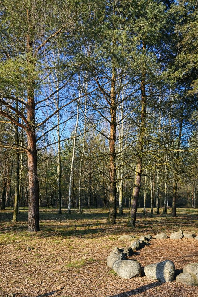 dom wolnostojący, 7 pokoi Rościsławice, ul. Wołowska. Zdjęcie 11