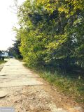 Działka budowlana Rybnik Orzepowice, ul. Bratków. Zdjęcie 2