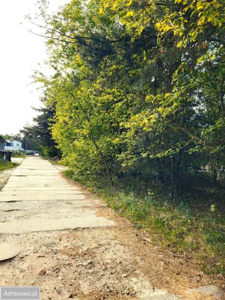 Działka budowlana Rybnik Orzepowice, ul. Bratków. Zdjęcie 3