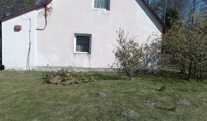 bliźniak Sosnowica
