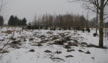 Działka siedliskowa Dubiny, ul. Torowa