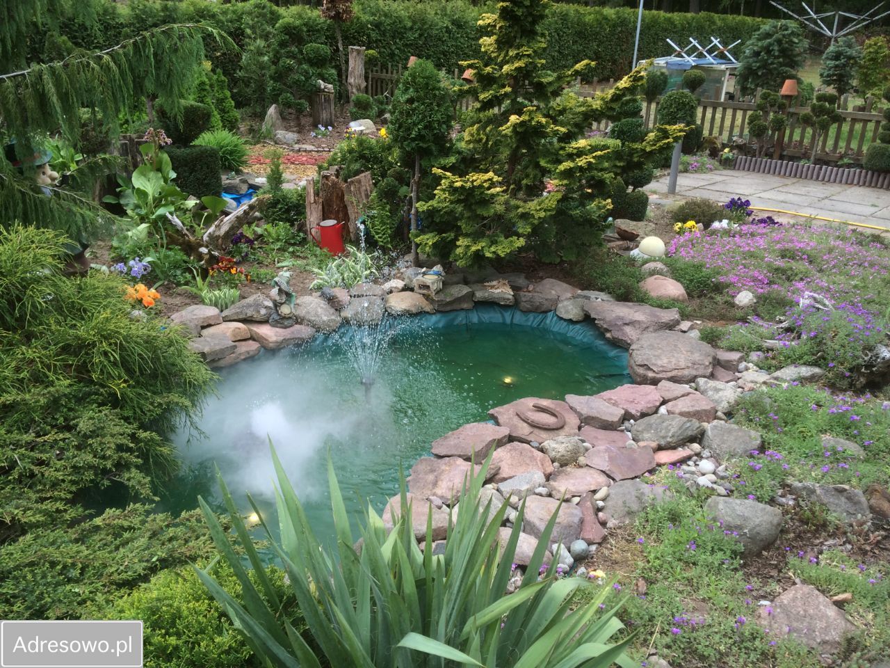 Lokal Niechorz. Zdjęcie 6