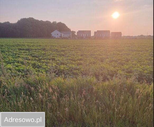 Działka budowlana Racławice Wielkie. Zdjęcie 1