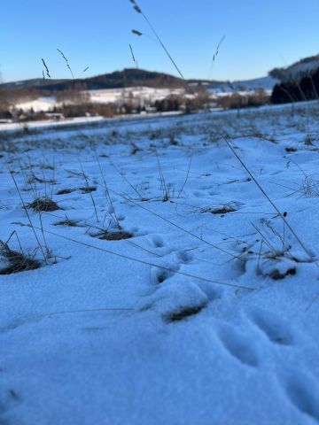 Działka budowlana Wieściszowice. Zdjęcie 1