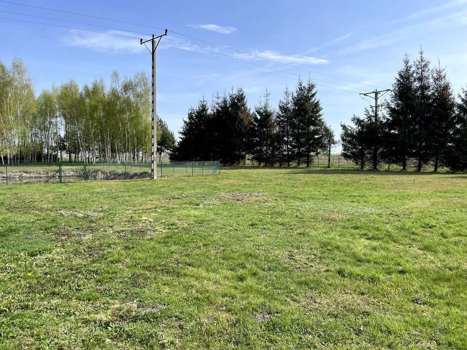 Działka budowlana Dąbie. Zdjęcie 4