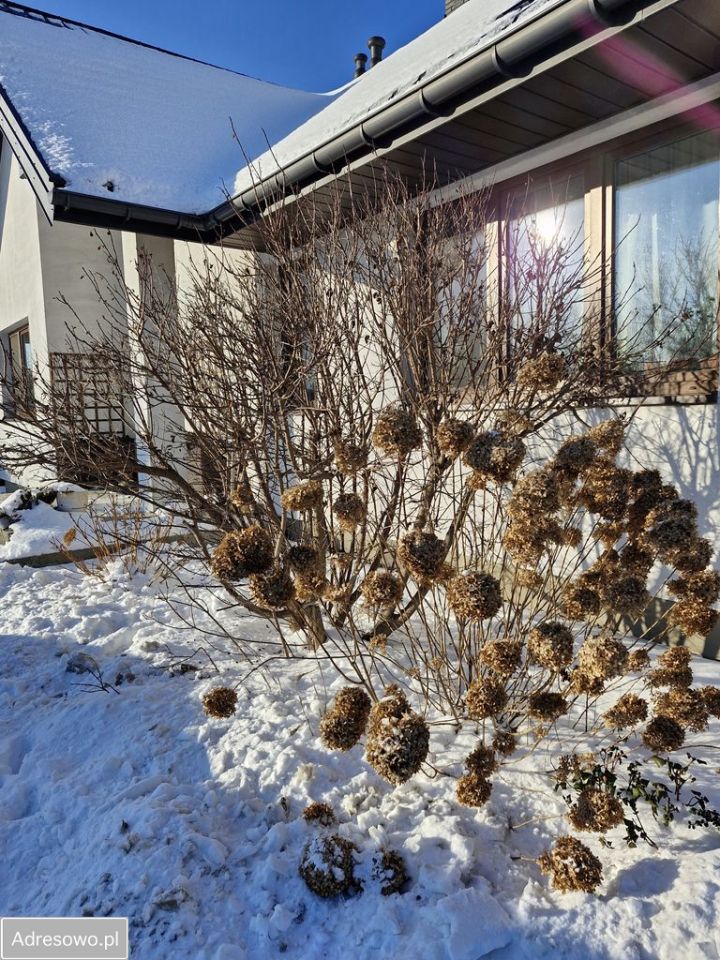 dom wolnostojący, 5 pokoi Piotrowice-Kolonia. Zdjęcie 7