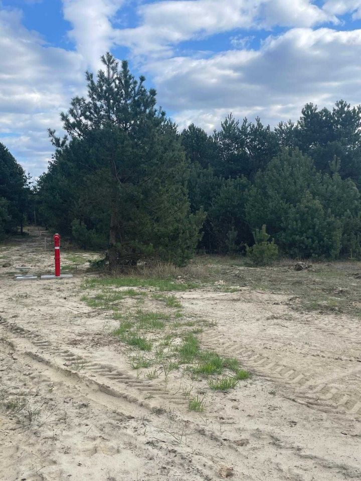 Działka rekreacyjna Stary Orzechów. Zdjęcie 5