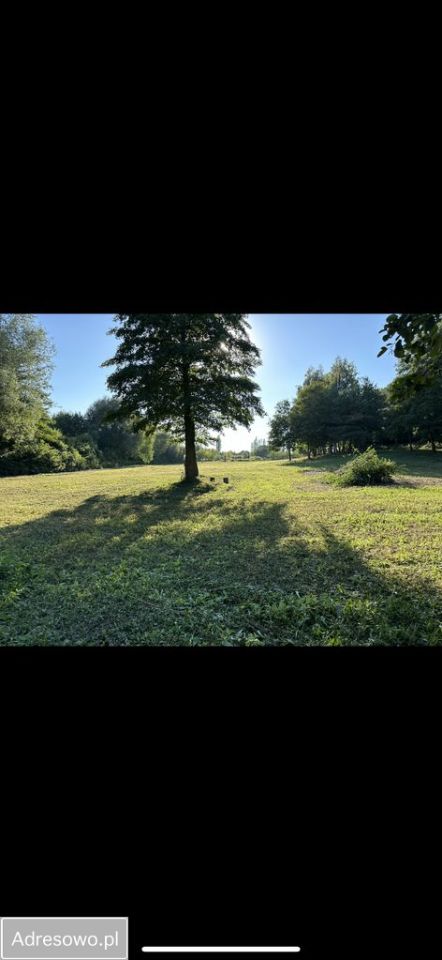 Działka budowlana Jedwabno. Zdjęcie 7