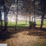 Działka budowlana Sokolniki. Zdjęcie 2