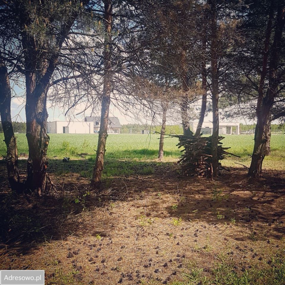 Działka budowlana Sokolniki. Zdjęcie 3