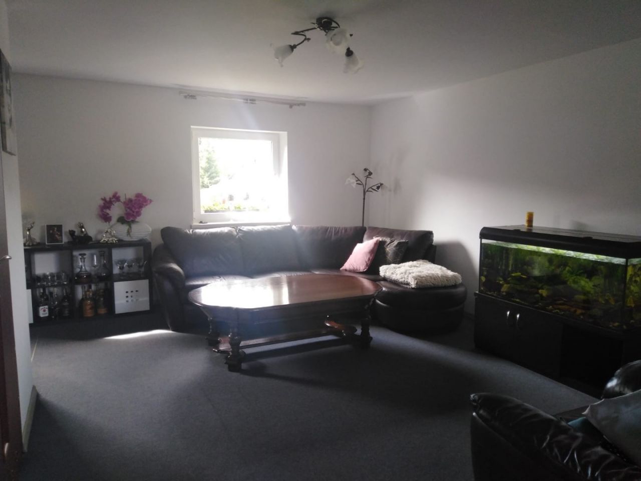 dom wolnostojący, 3 pokoje Boguszewo. Zdjęcie 9