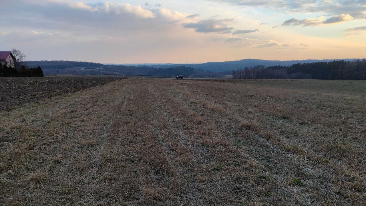 Działka rolno-budowlana Maćkowice Wola Maćkowska. Zdjęcie 3