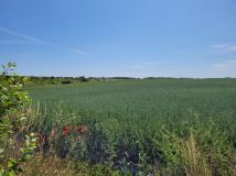 Działka budowlana Cedynia, ul. Kolonia. Zdjęcie 3