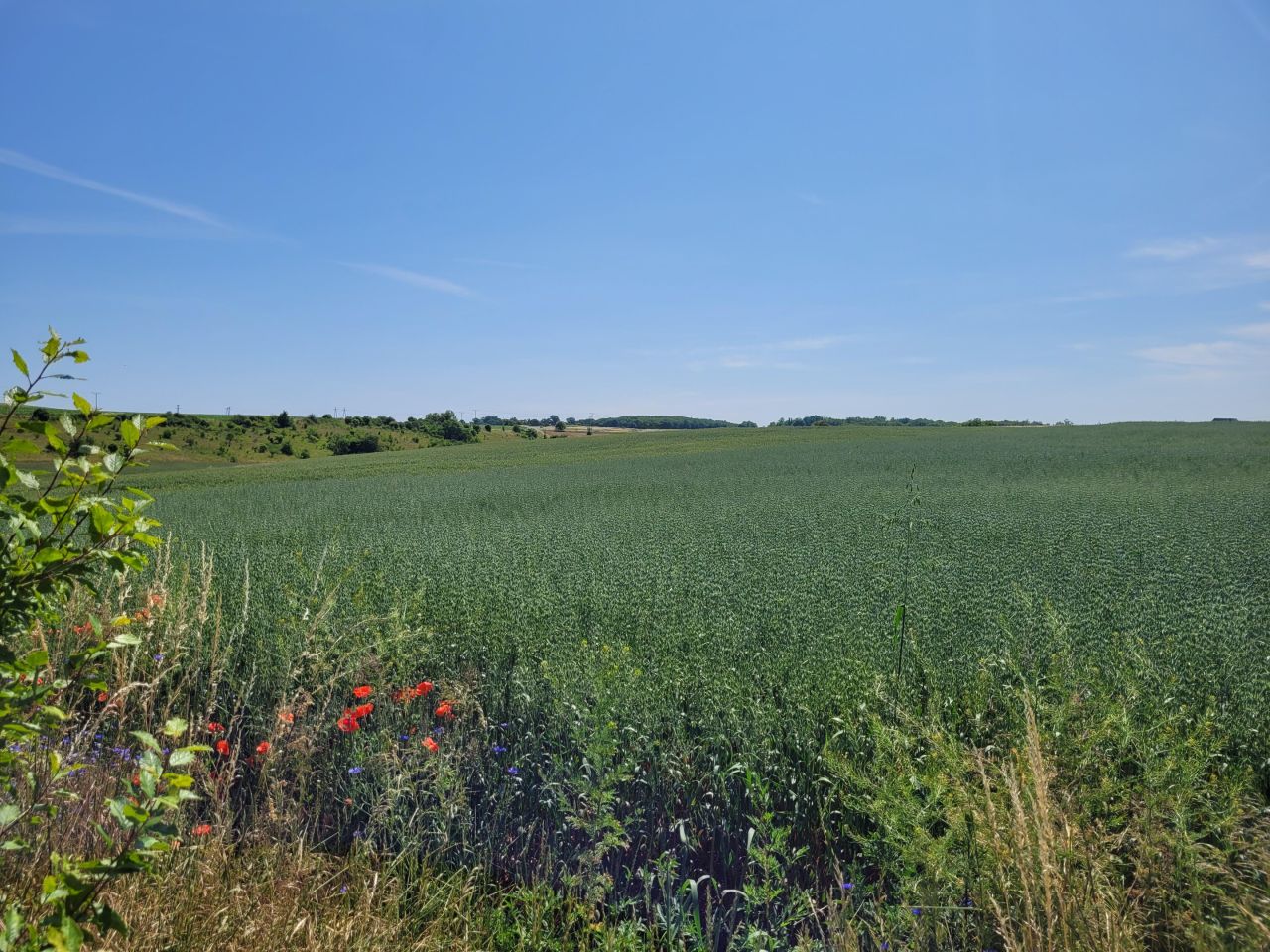 Działka budowlana Cedynia, ul. Kolonia. Zdjęcie 4