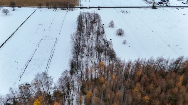 Działka budowlana Besko. Zdjęcie 6