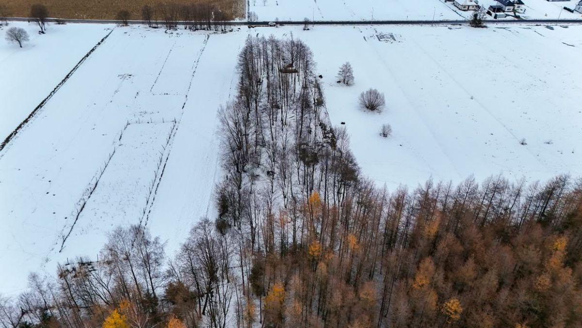 Działka budowlana Besko. Zdjęcie 6