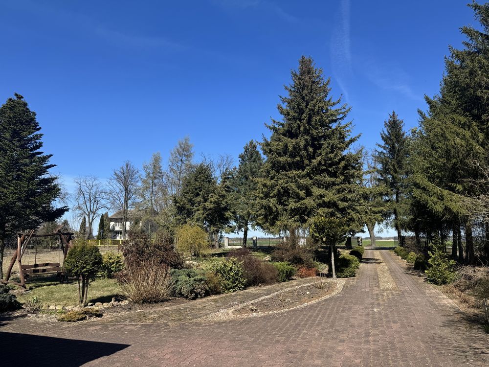 Działka budowlana Łosice. Zdjęcie 5