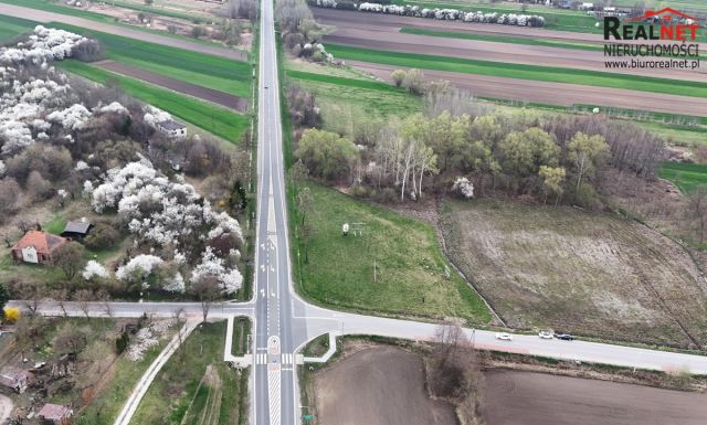 Działka inwestycyjna Pacanów. Zdjęcie 8