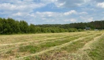 Działka budowlana Gostyniec