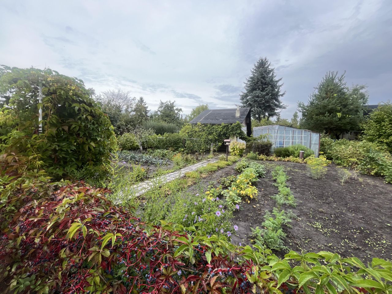 Działka rod Wrocław Krzyki, ul. Konduktorska. Zdjęcie 3