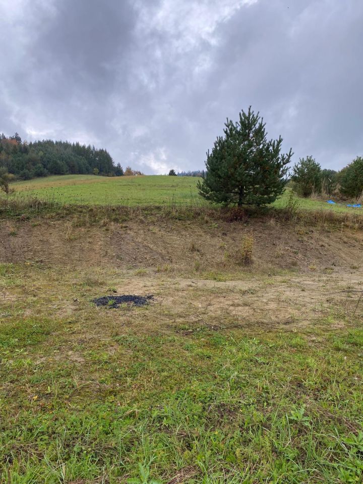 Działka rolno-budowlana Hoczew. Zdjęcie 7