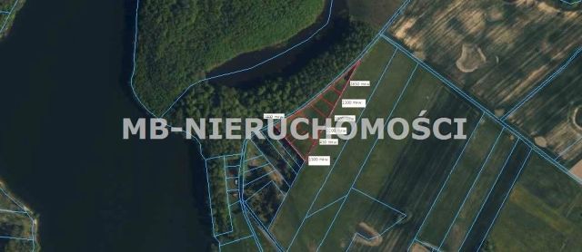 Działka rekreacyjna Skarpa. Zdjęcie 1