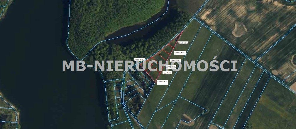 Działka rekreacyjna Skarpa. Zdjęcie 1