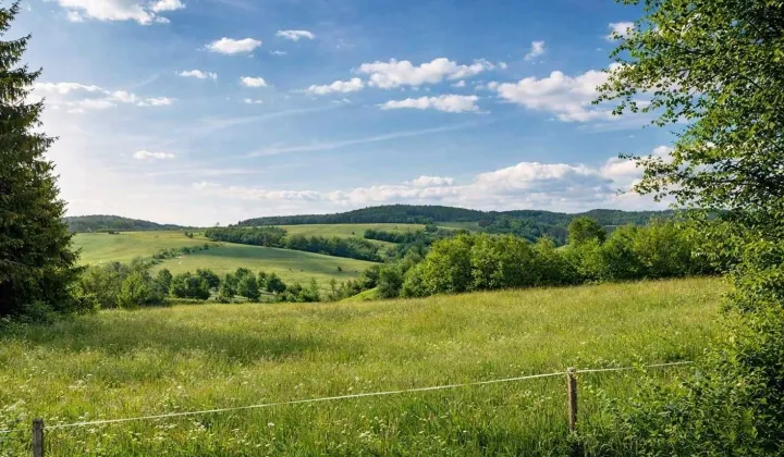 Działka rekreacyjna Myscowa