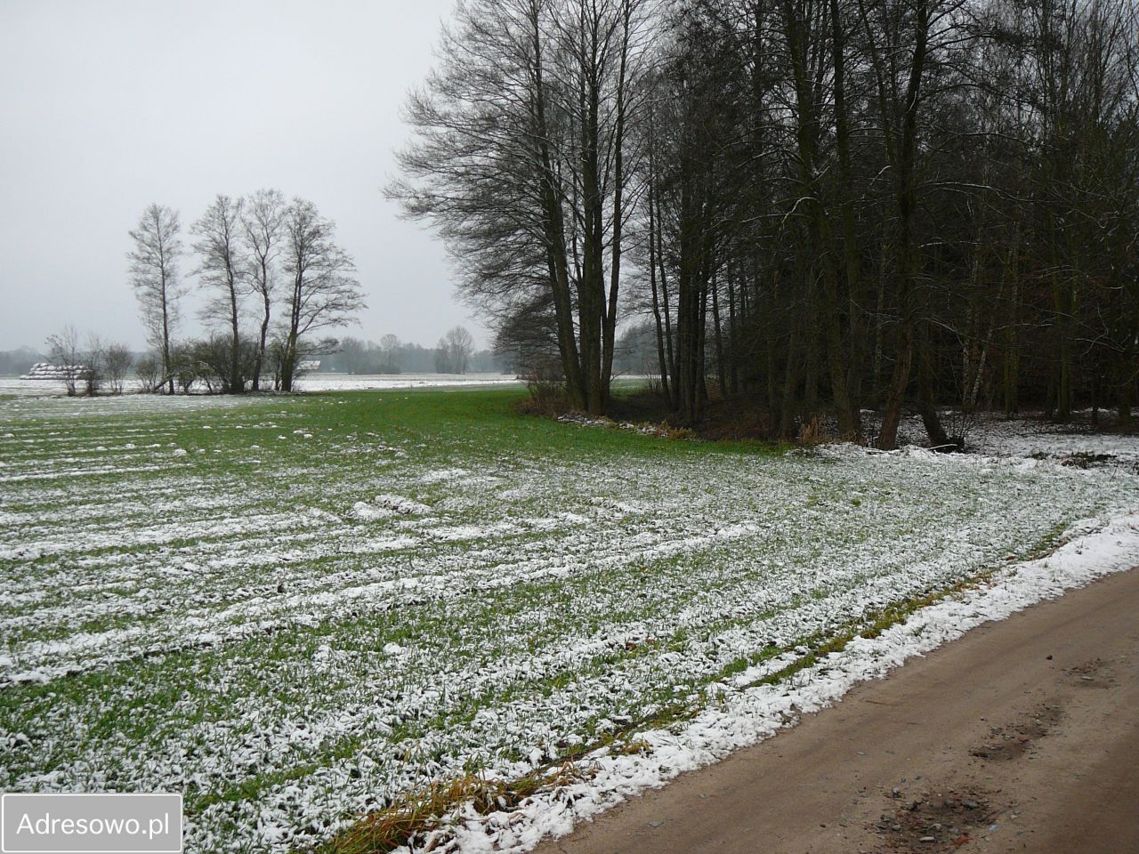Działka rolno-budowlana Nowe Jastrzębsko. Zdjęcie 8