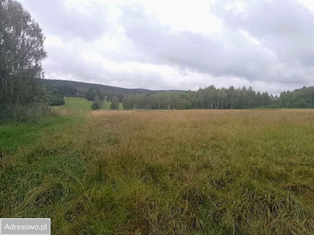 Działka budowlana Długopole Dolne. Zdjęcie 10