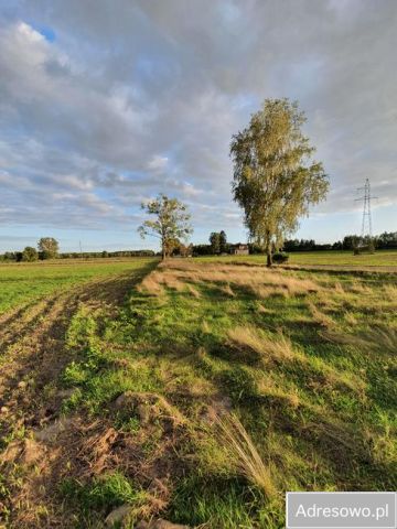 Działka rolna Gnojenko. Zdjęcie 1