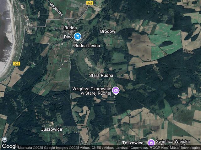 Działka rolna Stara Rudna. Zdjęcie 1