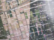 Działka rolna Niedzieliska. Zdjęcie 1