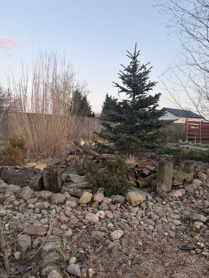 dom wolnostojący Wojcieszyce. Zdjęcie 3