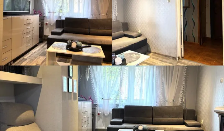 bliźniak, 2 pokoje Zielona Góra