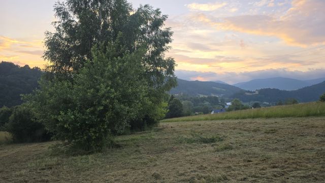 Działka budowlana Muszyna Ćwierci, Ćwierci. Zdjęcie 1