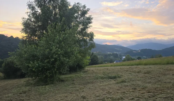 Działka budowlana Muszyna Ćwierci, Ćwierci