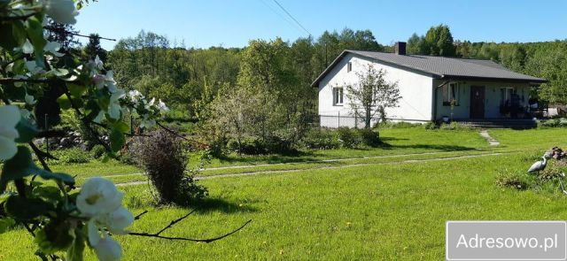 Działka rolno-budowlana Klonów. Zdjęcie 1