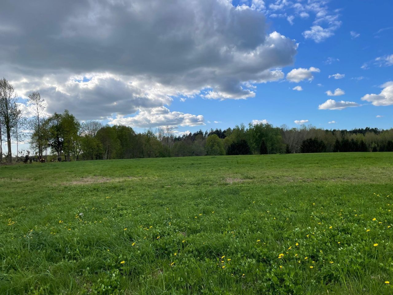 Działka rolno-budowlana Guja