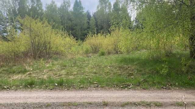 Działka budowlana Nieżywięć. Zdjęcie 4