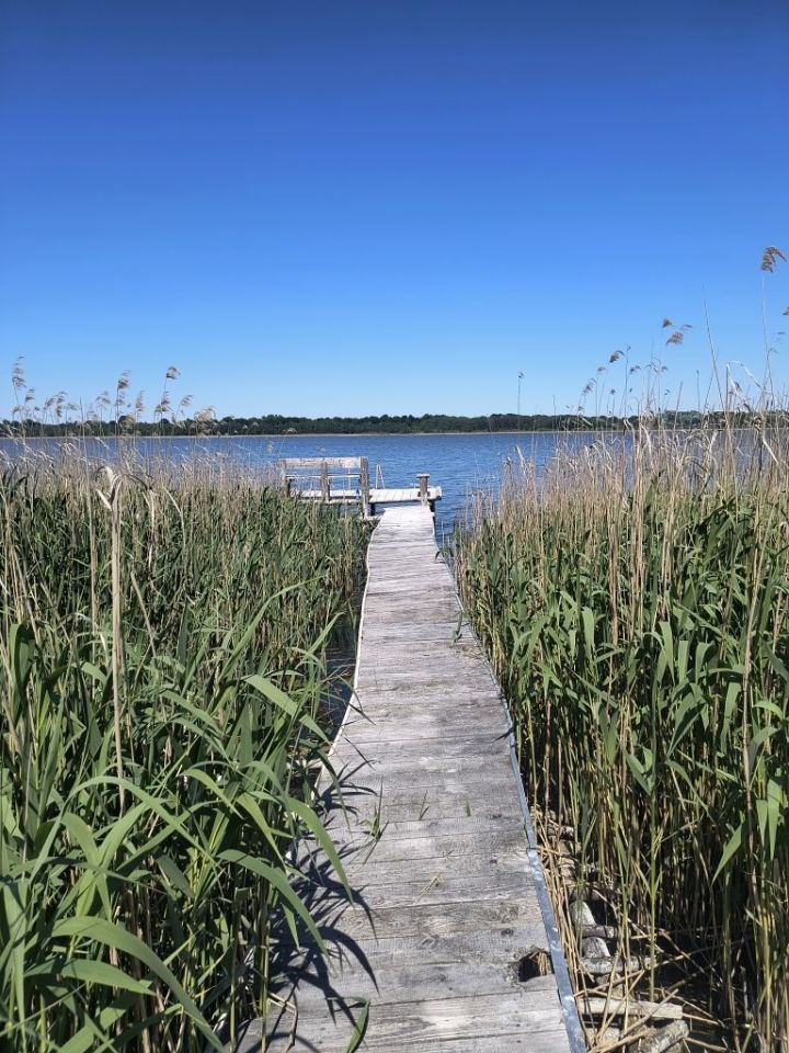 Działka rolna Kluki Oćwieka. Zdjęcie 4