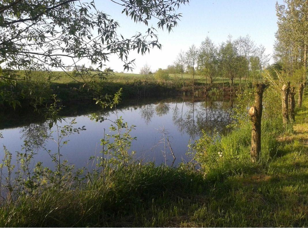 dom wolnostojący, 6 pokoi Ignackowo. Zdjęcie 6