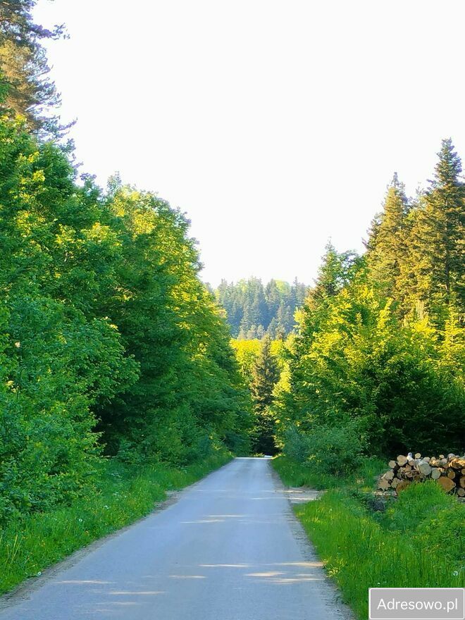 Działka budowlana Leszczyny. Zdjęcie 3